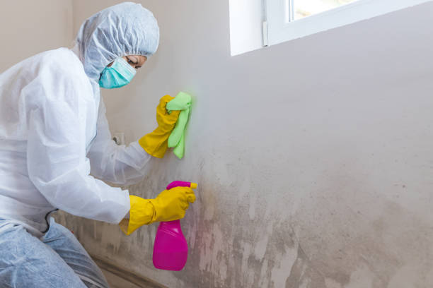 Best Crawl Space Mold Remediation  in Oak Grove, LA